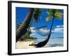 Hammock Hanging Seaside-Randy Faris-Framed Photographic Print