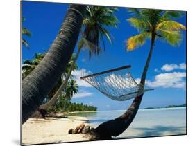 Hammock Hanging Seaside-Randy Faris-Mounted Photographic Print