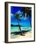 Hammock Hanging Seaside-Randy Faris-Framed Photographic Print