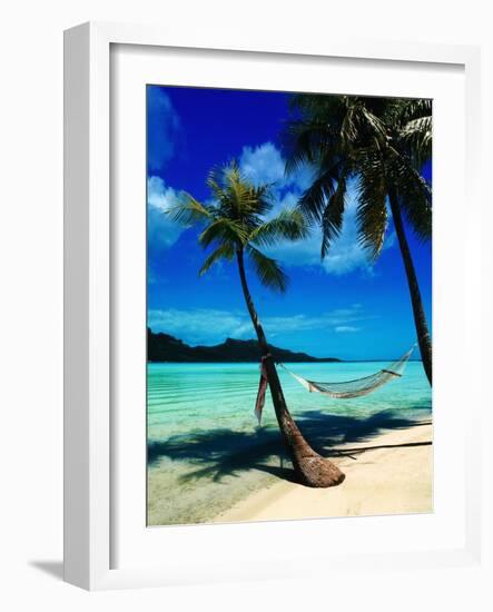 Hammock Hanging Seaside-Randy Faris-Framed Photographic Print