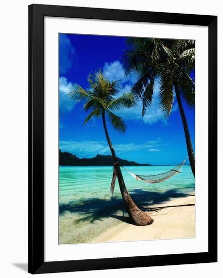 Hammock Hanging Seaside-Randy Faris-Framed Photographic Print