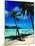 Hammock Hanging Seaside-Randy Faris-Mounted Photographic Print