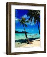 Hammock Hanging Seaside-Randy Faris-Framed Photographic Print