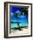 Hammock Hanging Seaside-Randy Faris-Framed Photographic Print