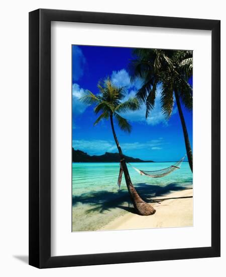 Hammock Hanging Seaside-Randy Faris-Framed Photographic Print