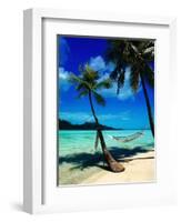 Hammock Hanging Seaside-Randy Faris-Framed Photographic Print