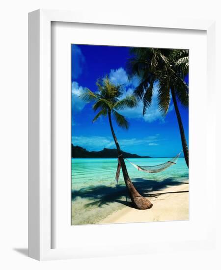 Hammock Hanging Seaside-Randy Faris-Framed Photographic Print