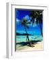 Hammock Hanging Seaside-Randy Faris-Framed Photographic Print