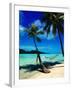 Hammock Hanging Seaside-Randy Faris-Framed Photographic Print