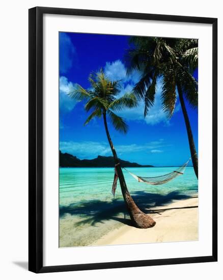 Hammock Hanging Seaside-Randy Faris-Framed Photographic Print