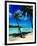 Hammock Hanging Seaside-Randy Faris-Framed Photographic Print