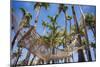 Hammock in a Palm Grove, Puerto Rico-George Oze-Mounted Photographic Print