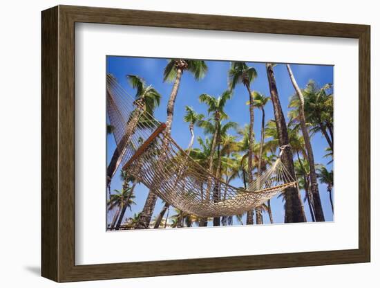 Hammock in a Palm Grove, Puerto Rico-George Oze-Framed Photographic Print