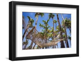 Hammock in a Palm Grove, Puerto Rico-George Oze-Framed Photographic Print