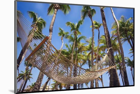 Hammock in a Palm Grove, Puerto Rico-George Oze-Mounted Photographic Print