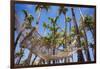 Hammock in a Palm Grove, Puerto Rico-George Oze-Framed Photographic Print