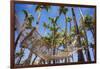 Hammock in a Palm Grove, Puerto Rico-George Oze-Framed Photographic Print