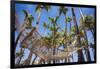 Hammock in a Palm Grove, Puerto Rico-George Oze-Framed Photographic Print