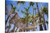 Hammock in a Palm Grove, Puerto Rico-George Oze-Stretched Canvas