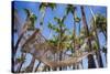 Hammock in a Palm Grove, Puerto Rico-George Oze-Stretched Canvas