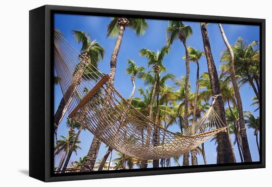 Hammock in a Palm Grove, Puerto Rico-George Oze-Framed Stretched Canvas