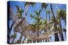 Hammock in a Palm Grove, Puerto Rico-George Oze-Stretched Canvas
