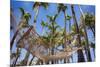 Hammock in a Palm Grove, Puerto Rico-George Oze-Mounted Photographic Print