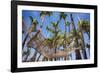 Hammock in a Palm Grove, Puerto Rico-George Oze-Framed Photographic Print