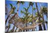 Hammock in a Palm Grove, Puerto Rico-George Oze-Mounted Photographic Print