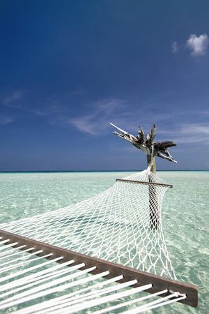 https://imgc.allpostersimages.com/img/posters/hammock-in-tropical-lagoon-maldives-indian-ocean-asia_u-L-PSY1GP0.jpg?artPerspective=n