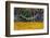 Hammock Looking Inviting in a Leaf Strewn Yard in Whitefish, Montana-Chuck Haney-Framed Photographic Print