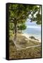 Hammock on a Beach in Ha'Apai, Tonga, South Pacific-Michael Runkel-Framed Stretched Canvas