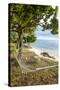 Hammock on a Beach in Ha'Apai, Tonga, South Pacific-Michael Runkel-Stretched Canvas