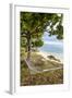 Hammock on a Beach in Ha'Apai, Tonga, South Pacific-Michael Runkel-Framed Photographic Print