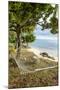 Hammock on a Beach in Ha'Apai, Tonga, South Pacific-Michael Runkel-Mounted Photographic Print