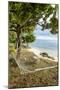 Hammock on a Beach in Ha'Apai, Tonga, South Pacific-Michael Runkel-Mounted Photographic Print