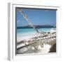 Hammock on a Beach-null-Framed Photographic Print