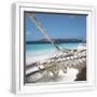 White Frame