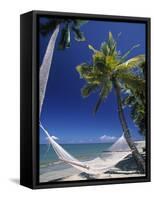 Hammock on Beach, Danarau, Viti Levu, Fiji-Neil Farrin-Framed Stretched Canvas