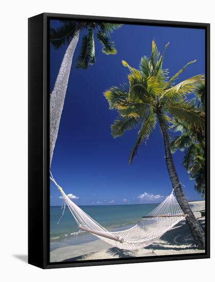 Hammock on Beach, Danarau, Viti Levu, Fiji-Neil Farrin-Framed Stretched Canvas