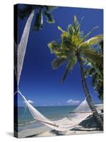 Hammock on Beach, Danarau, Viti Levu, Fiji-Neil Farrin-Stretched Canvas