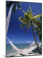 Hammock on Beach, Danarau, Viti Levu, Fiji-Neil Farrin-Mounted Photographic Print