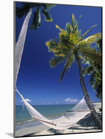 Hammock on Beach, Danarau, Viti Levu, Fiji-Neil Farrin-Mounted Photographic Print