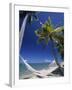 Hammock on Beach, Danarau, Viti Levu, Fiji-Neil Farrin-Framed Photographic Print