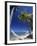 Hammock on Beach, Danarau, Viti Levu, Fiji-Neil Farrin-Framed Photographic Print