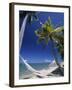 Hammock on Beach, Danarau, Viti Levu, Fiji-Neil Farrin-Framed Photographic Print