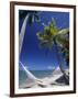 Hammock on Beach, Danarau, Viti Levu, Fiji-Neil Farrin-Framed Photographic Print