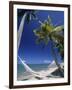 Hammock on Beach, Danarau, Viti Levu, Fiji-Neil Farrin-Framed Photographic Print