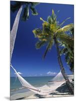 Hammock on Beach, Danarau, Viti Levu, Fiji-Neil Farrin-Mounted Photographic Print