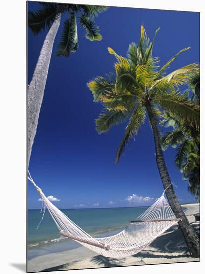 Hammock on Beach, Danarau, Viti Levu, Fiji-Neil Farrin-Mounted Photographic Print